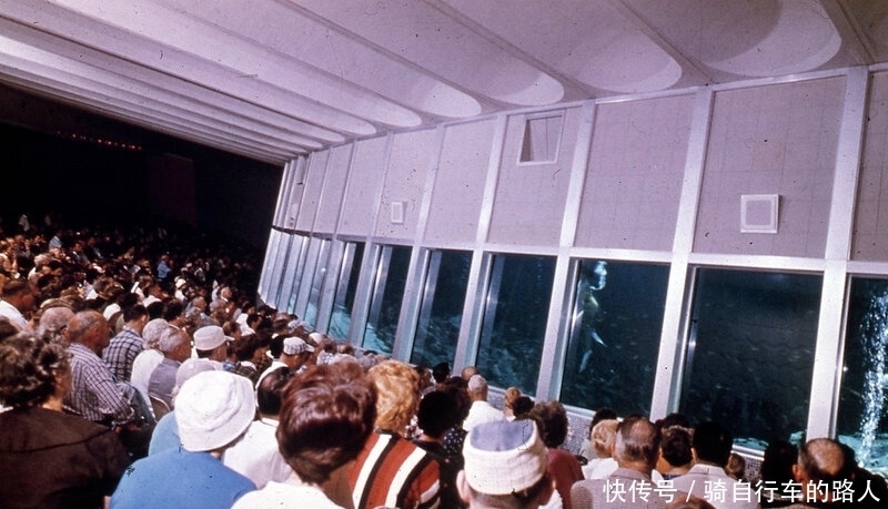 美丽|老照片 1959年美国水下舞蹈表演 美丽的美人鱼