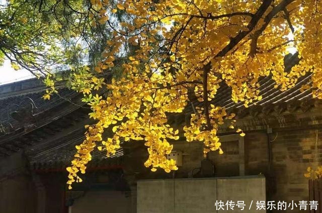 戏台|原创散文冬日所遇,尽可惊喜