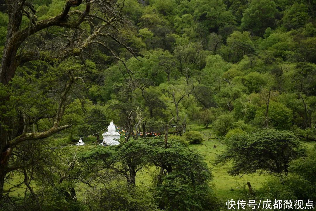 tr放慢脚步，跟着许巍的歌去四姑娘山旅行