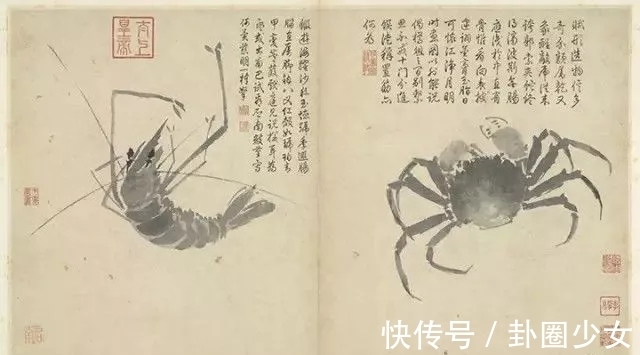 观物写生册&明代对景写生大家|沈周花鸟画《观物写生册》