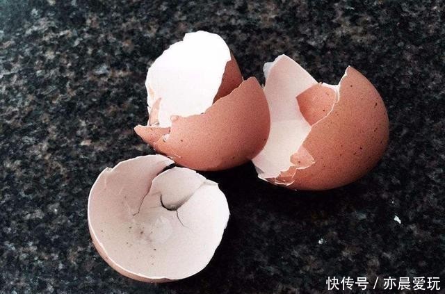 自己制作养花肥料,没那么难,三样东西到处都是,养花不错