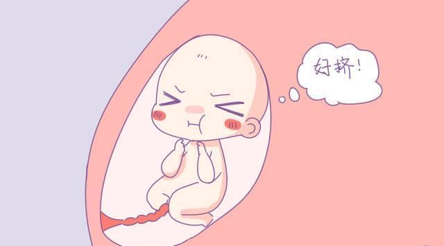 宝宝|除了睡觉,胎宝宝每天在妈妈肚子里都干些啥看了N遍,太可爱了