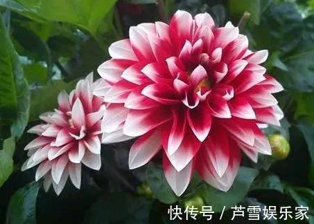 脚踏地&人若恶毒,众叛亲离;人若善良,价值不菲