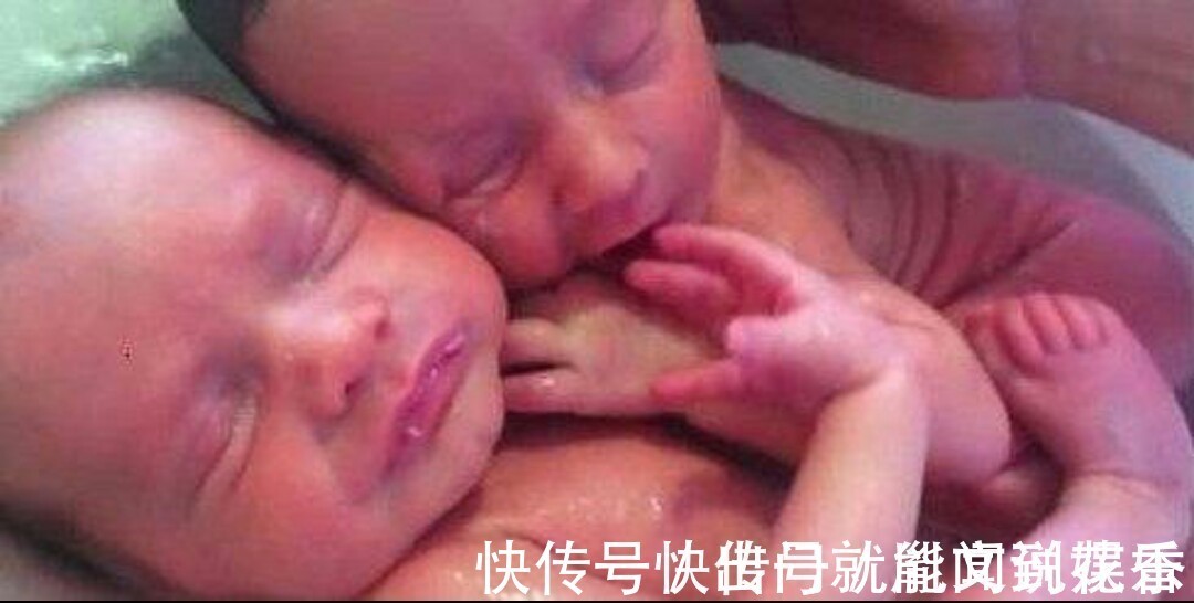 双胞胎|刚出生的双胞胎,被医生转身放进水里,俩宝宝反应太萌了