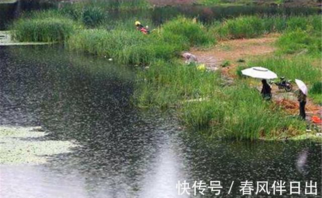 太阳红|盛夏应该如何钓鱼?几句钓鱼谚语就可以概括,别说钓无定律