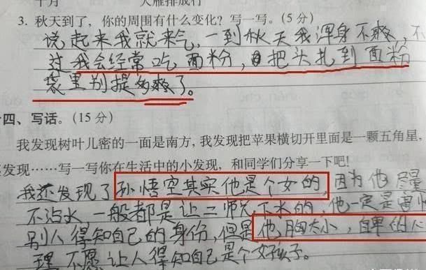 答案|小学生“学渣级”试卷, 老师看完气得拍桌子, 网友 个个都是人才