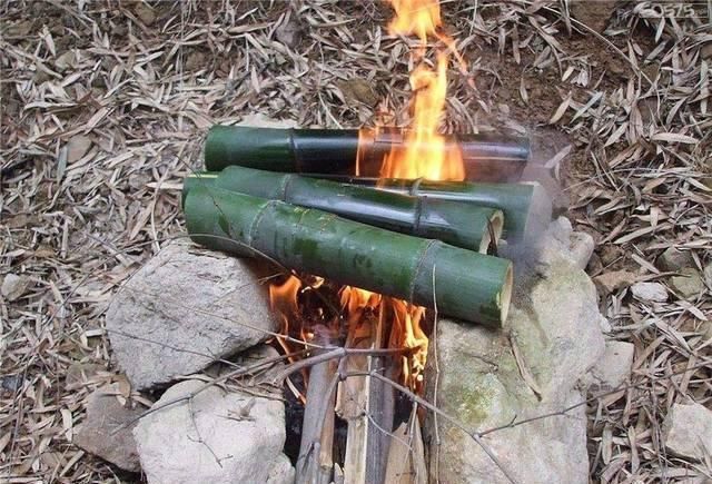 竹笋|靠吃竹笋长大,儿时一抓十几只,火一烤就能吃,如今养殖2元一只