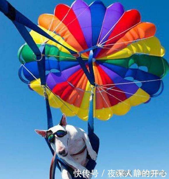 |幽默段子:老公出差了,你说会一次