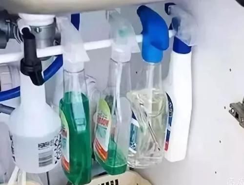 绿色植物|卫生间什么东西都可以放，唯独这4样万万不要放！细菌暴涨臭烘烘