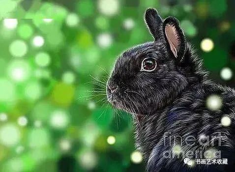  美女|一匹马画了16年！美女学渣逆袭成功，坚持下来很酷！