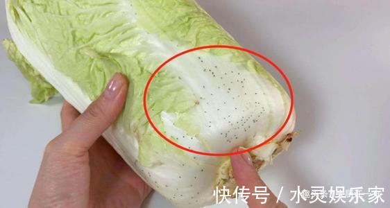 买白菜时,选黄叶的好还是绿叶的很多人一直买错了,难怪不好吃