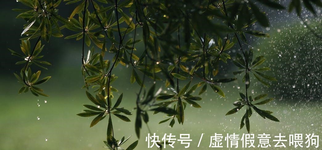 中国文学$宋朝一位不入流的词人,却写下一首经典作品,通篇描绘的如诗如画!