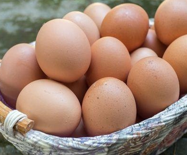豆浆|早上吃鸡蛋也能中毒鸡蛋的四个“禁忌”,老人和孩子要当心!