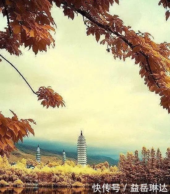 太美了,世界照片今天终于传来,罕见至极,一睹为快