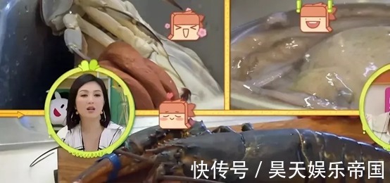 自热食品|宋妍霏用自热食品招待杨迪引争议，网友扒出关键信息打脸节目组