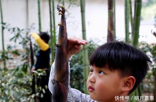 牛奶|想要孩子长得高，“天然增高剂”要多吃，补钙胜过牛奶和骨头汤