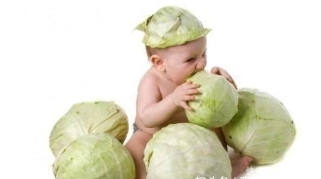 养出|胃不好,几种食物换着每天吃一点,修复胃黏膜,养出好胃!