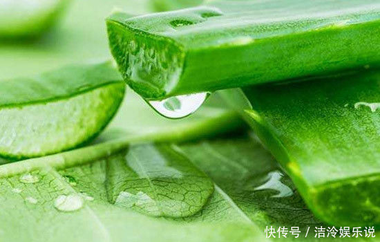 招财旺宅|家里什么花都可以不养，唯独这四种植物万万要种，有钱人一看就懂