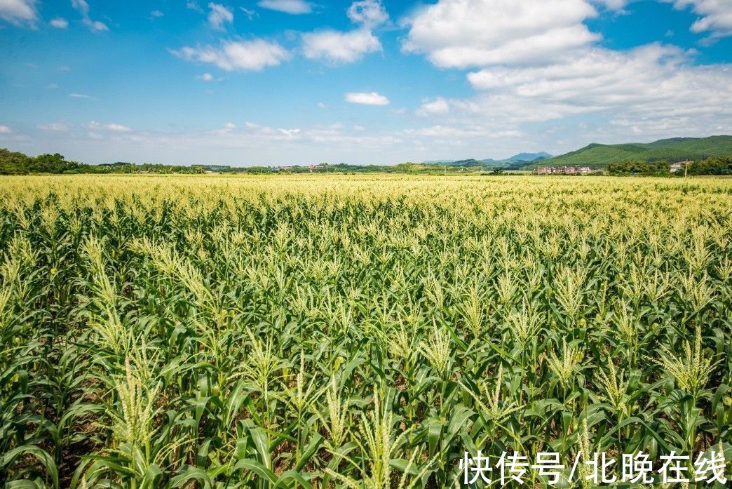横州|北上广一站购齐，大乡村年货升级：拼多多30亿红包聚焦全国全球尖货好物