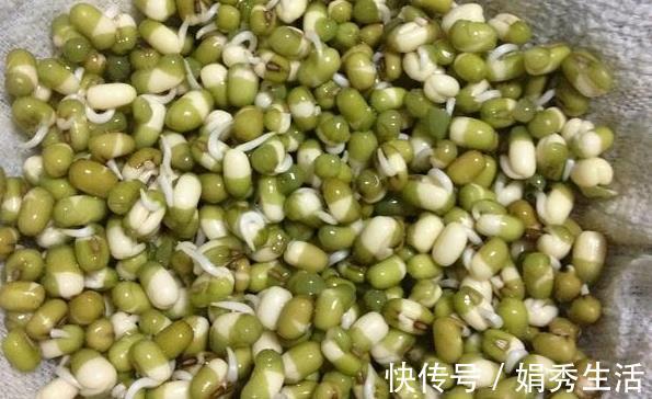 容器|在家发豆芽,4天就能吃,方法教给你,制作简单,好吃营养又卫生