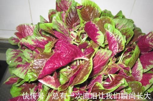 莓茶莓茶|患上子宫肌瘤要淡定,6种食物坚持吃,助你活血化瘀、消除肌瘤