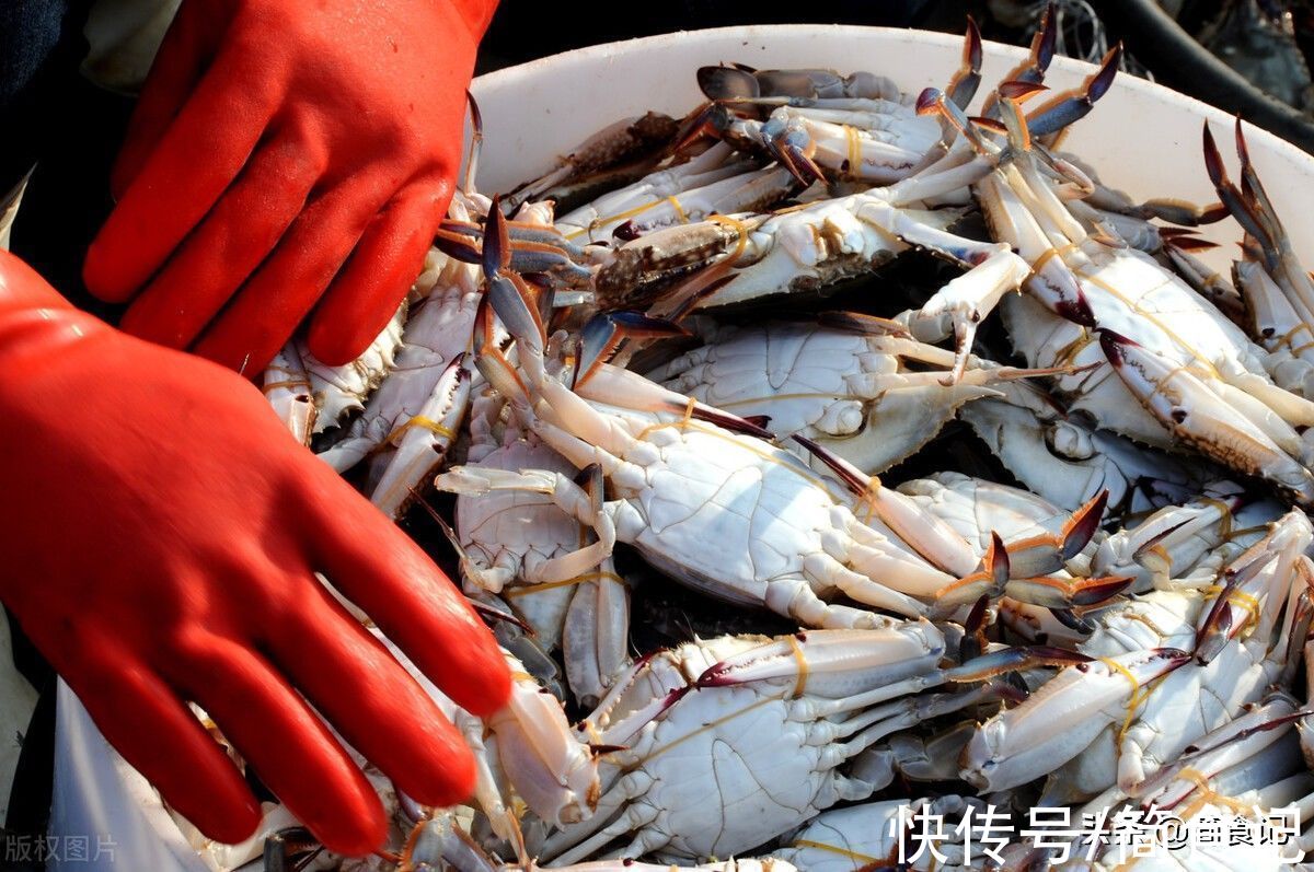怎样保存螃蟹？大厨：直接放冰箱是大错，教你1招，放7天照样新鲜