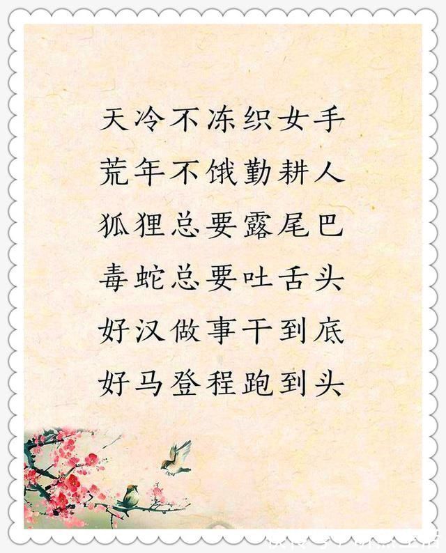 大智慧|老祖宗留下的金句,太经典了,句句都是大智慧