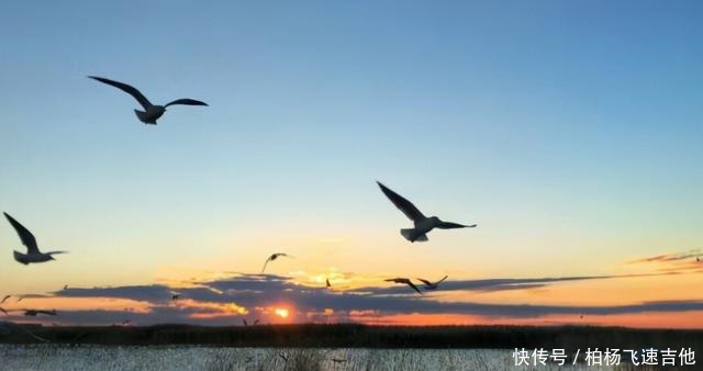 恢复 从沙漠到5000万立方米储水，中国仅用十年，就让居延海恢复了生机！