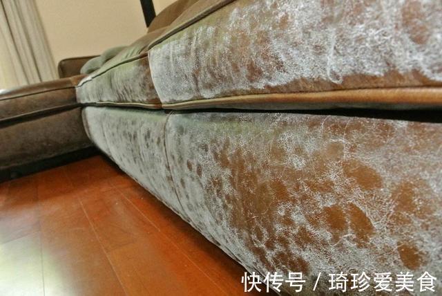 小便宜|客厅里这4个“大件”,有钱就买好的,没钱干脆别买,别贪小便宜