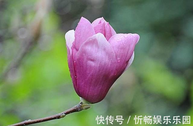 这四种人@这四种人,是你生命中的贵人,遇上了千万要珍惜