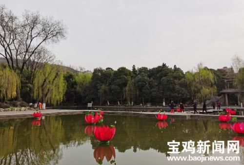 玉渊潭|宝鸡炎帝园：初春时节 踏春赏花正当时