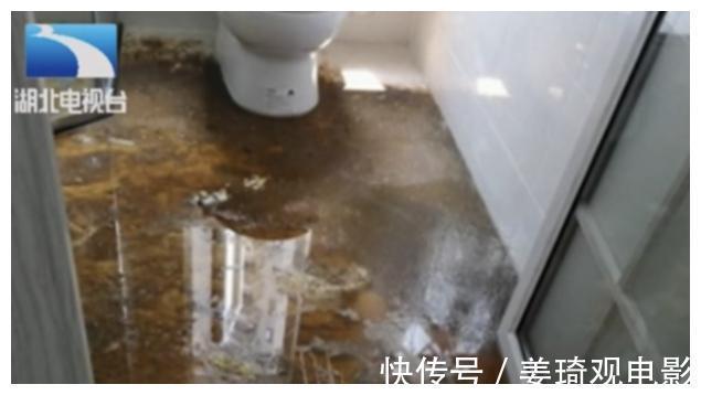 胶合剂|装修过来人整理出6类装修经验,要装修的朋友注意,免花冤枉钱!