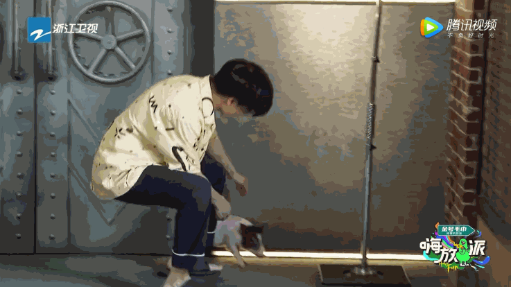 动物世界|实验求真，发现新知，《嗨放派》一场欢乐的科普探索之旅