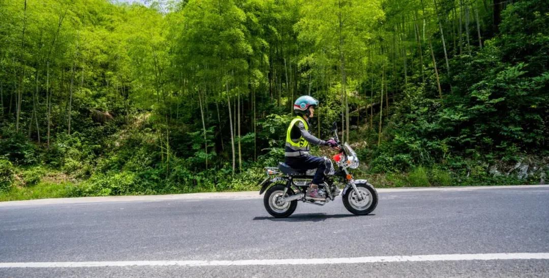 车队|上海车友安吉龙王山二日游