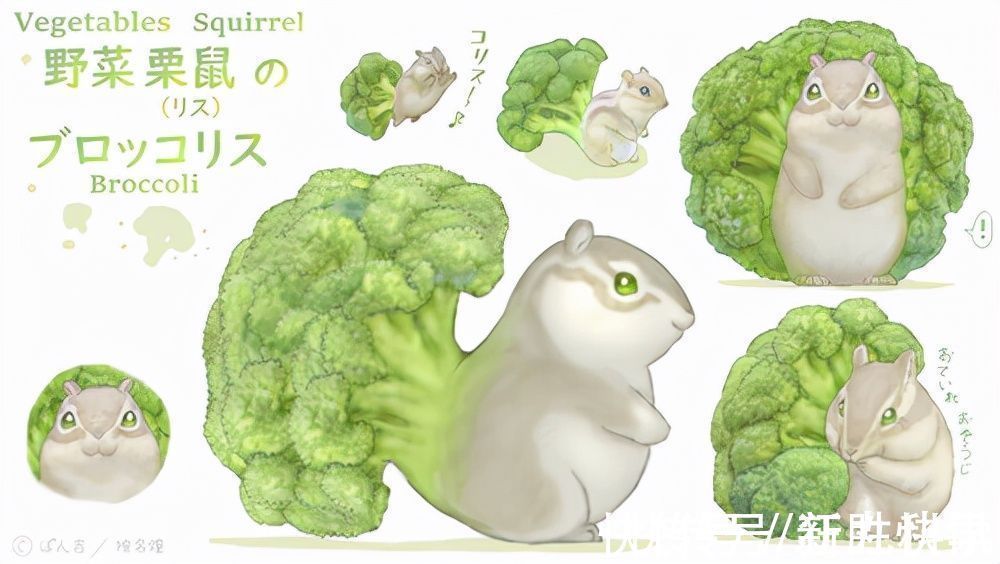 精灵|世界上最菜的狗能有多菜？这个日本人给出了意想不到的答案