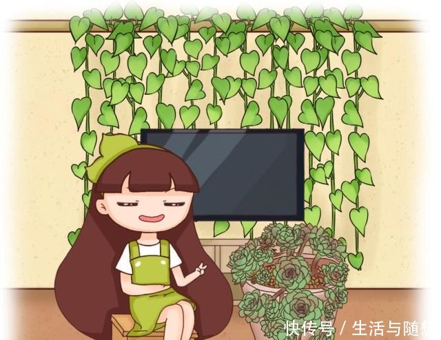 这2种仙人掌“爱开花”,一开一大片,比蟹爪兰还美!