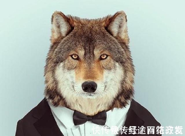 伯禽|历史上最尴尬的十大姓,你要是在这样的家庭,该如何取名字?