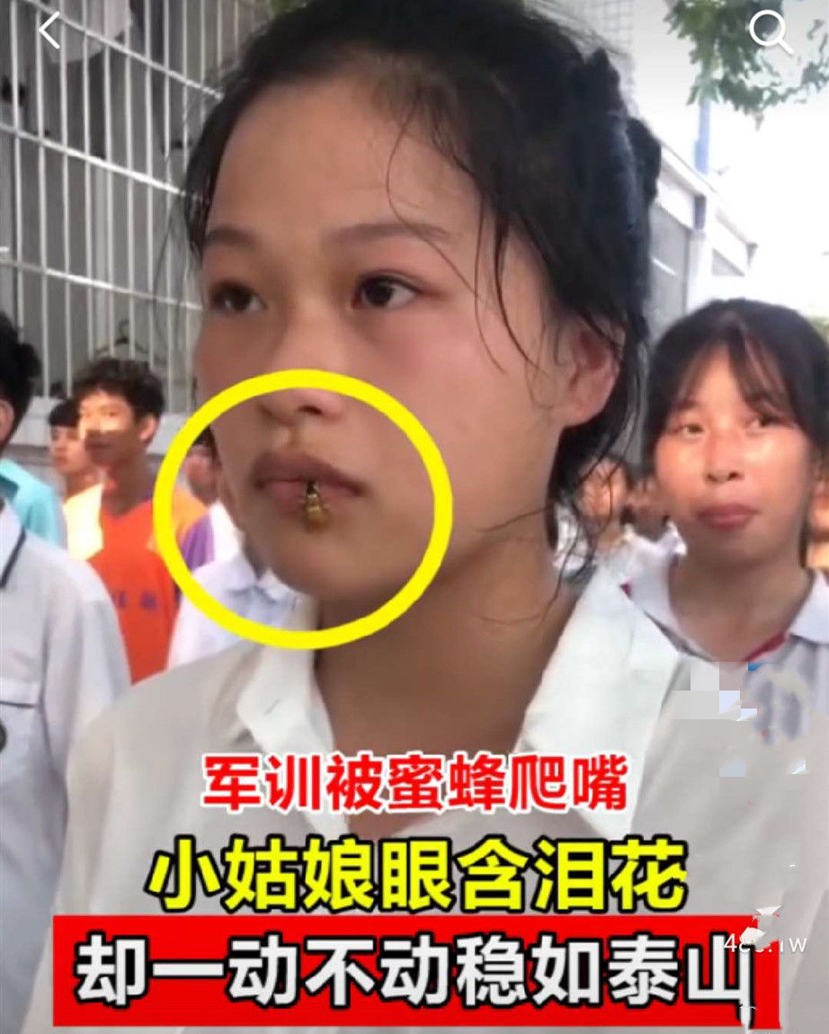 树立|女生军训被马蜂爬嘴，一动不动稳如泰山，给广大学生树立榜样！