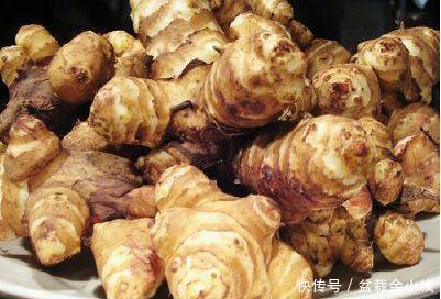 此種植物在農(nóng)村路邊隨處可見(jiàn),不僅美味,還是糖尿病患者的福音