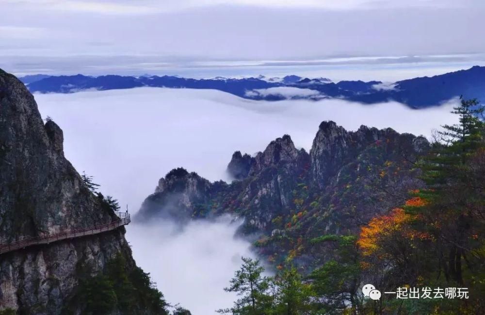 二日游|老君山，追梦谷赏秋二日游