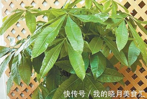 天冷了,浇花要注意哪些