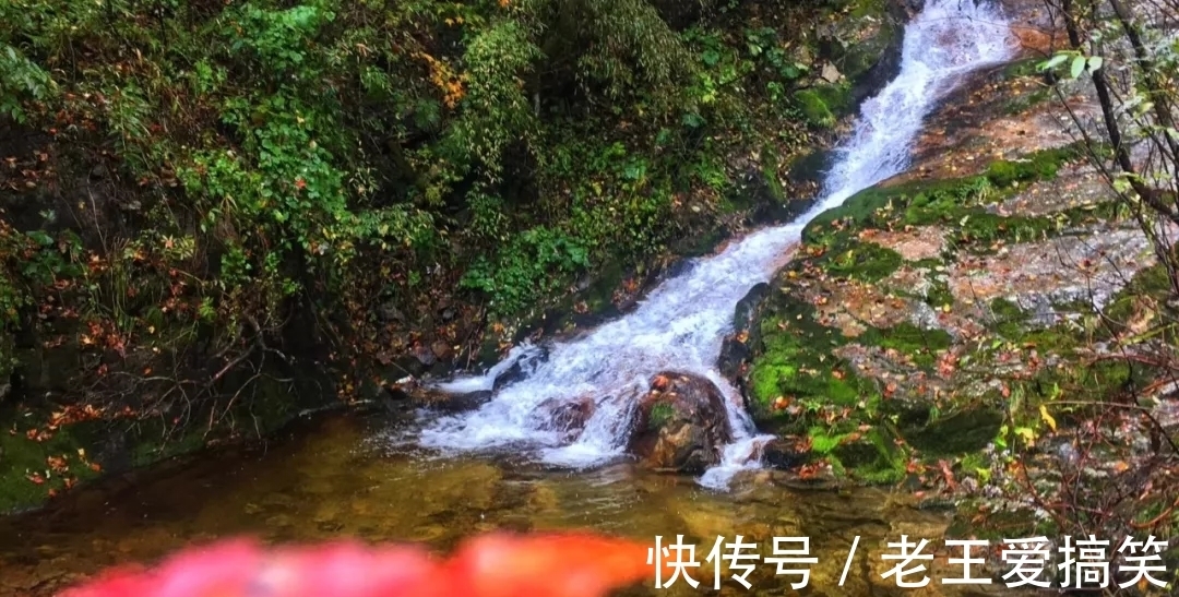 秋色|雨后的西安，值得期待