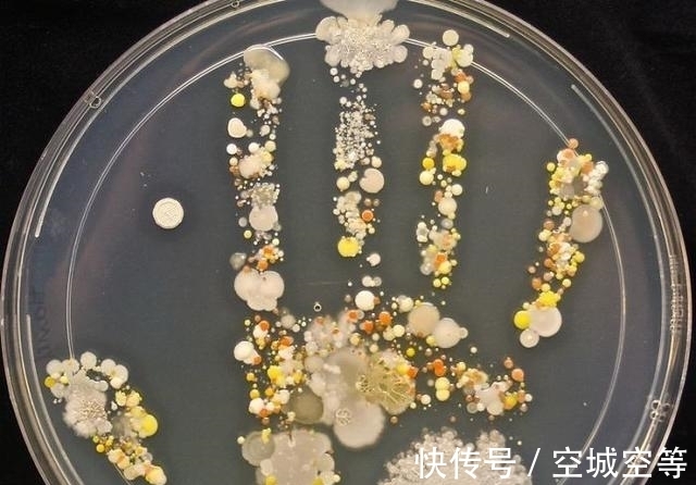 高尔夫球场#30张“活久未见”的照片:被闪电击中的木头,好像一副国画