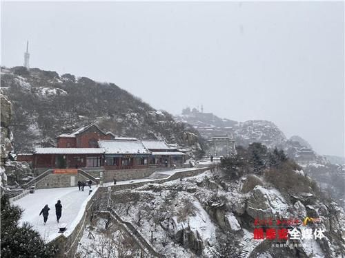 下雪|泰山又下雪啦！青山原不老，为雪而白头