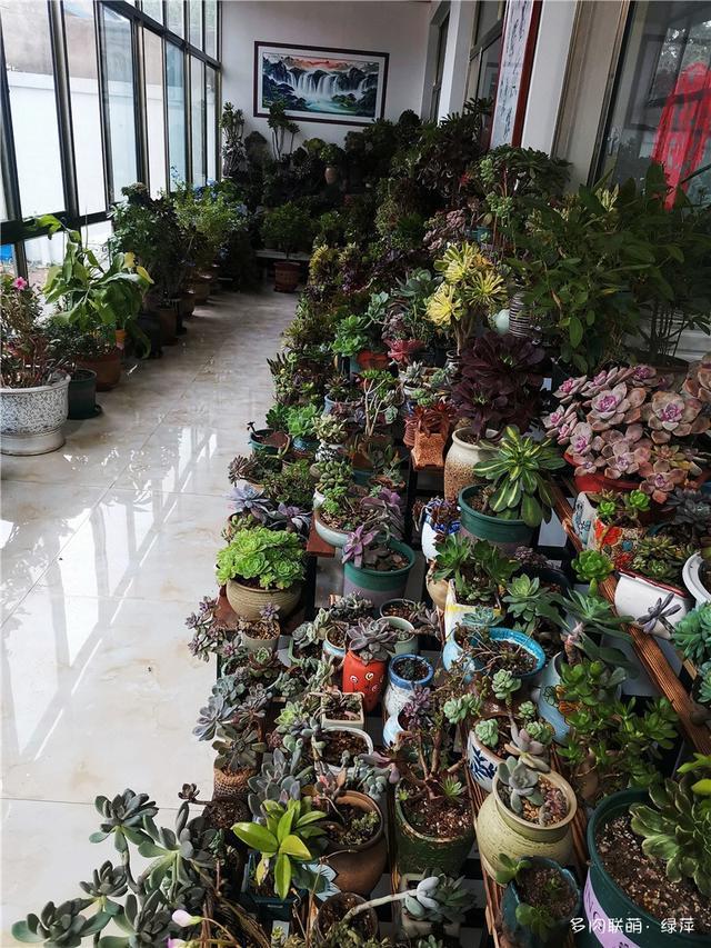 拈花一笑为红颜,无奈雨霾非吾恋