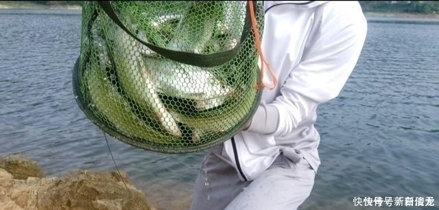 钓翘嘴知道这些,会让你收获满满,钓的非常过瘾