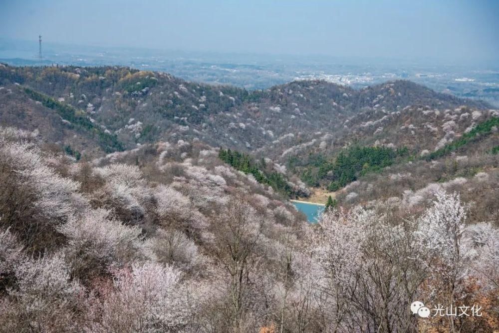 登上央视！信阳这片“仙境”，你去了吗？