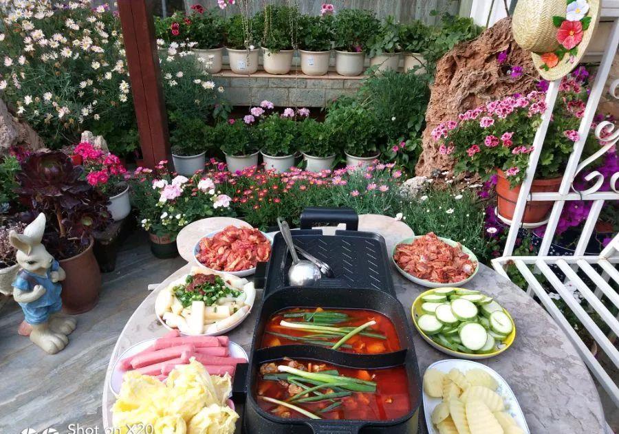 养花技巧:大冬天,她家的小院开满200盆花,全家人过年围着看!