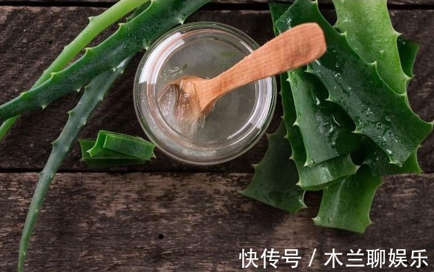 面膜|都说芦荟好用,尤其是芦荟捣烂外敷这2大功效,用过的都叫好