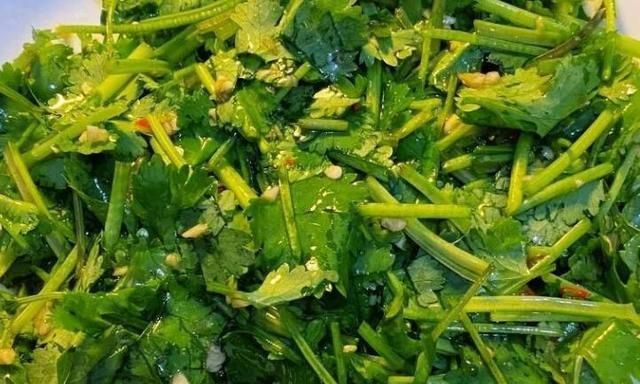 立冬后，遇到此菜别放过，3元1斤，腌起来脆爽开胃，1小时就能吃